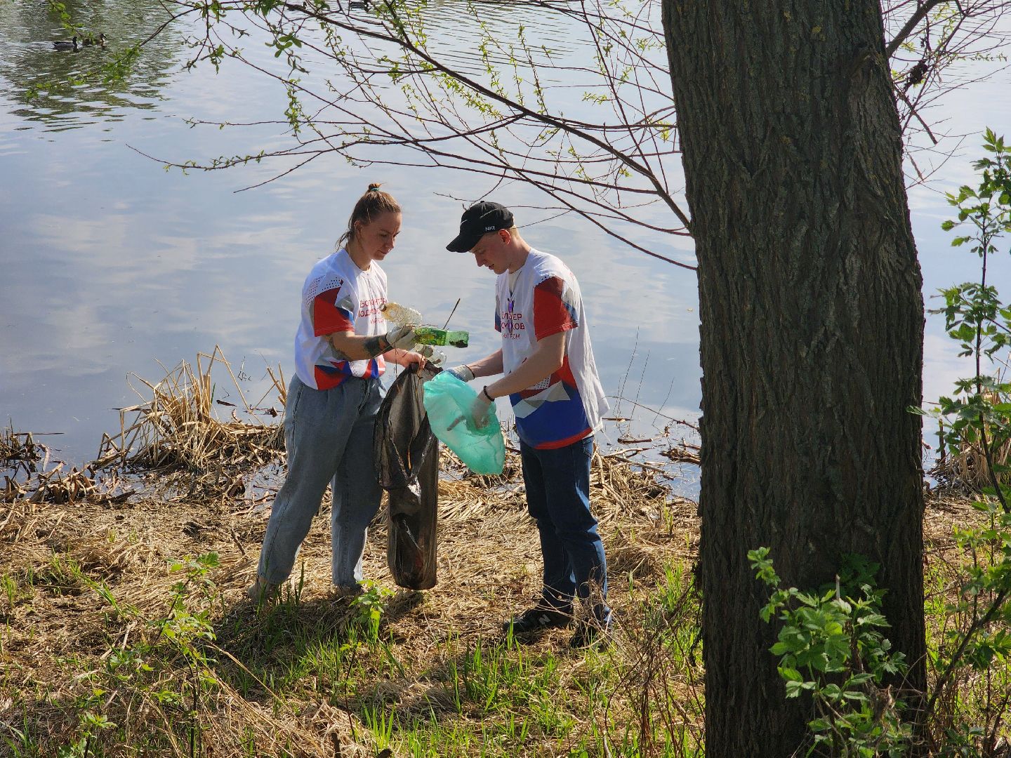 воскресенск, благоустройство , волонтеры,