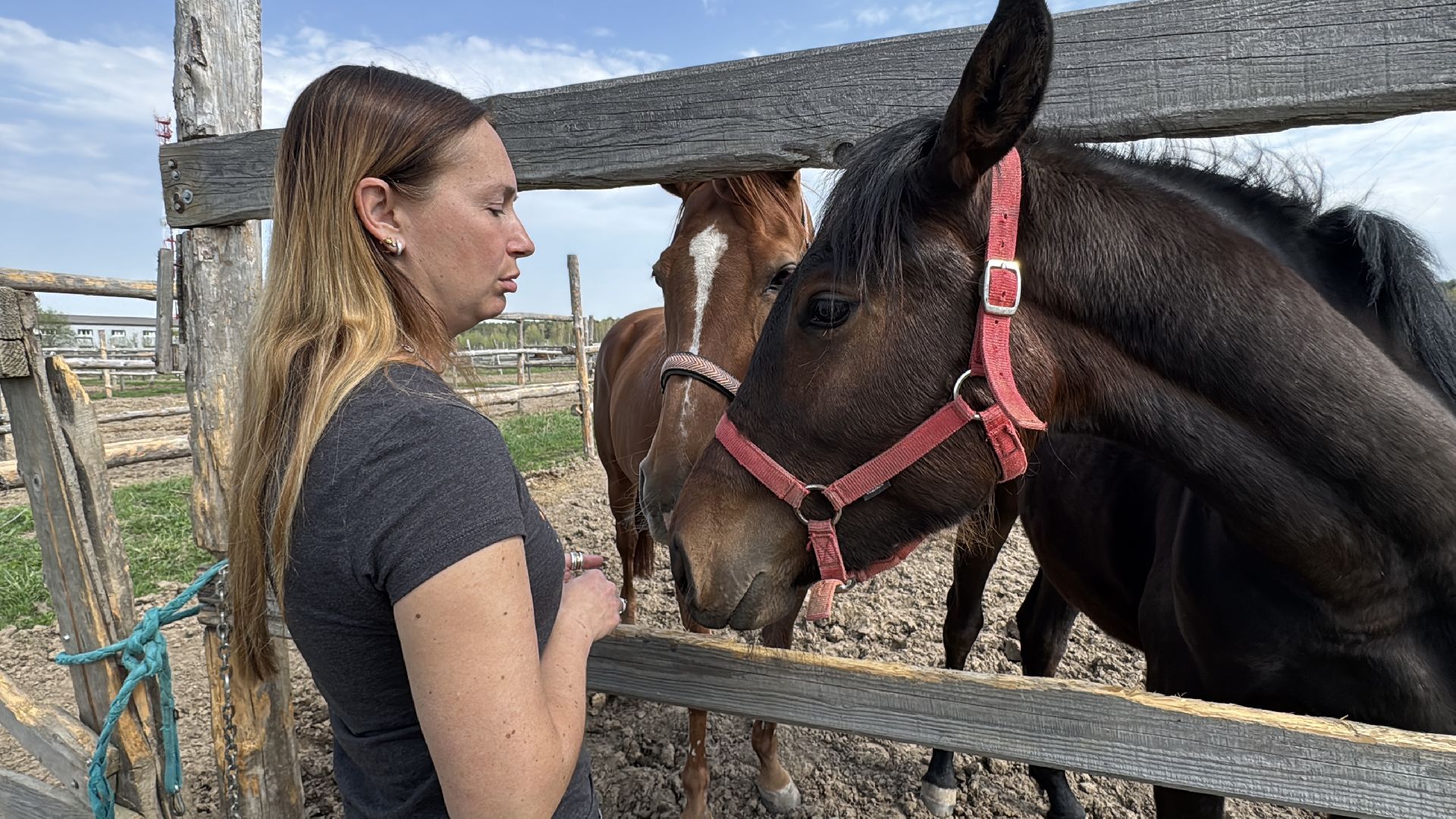 Конкур, Всадница из Одинцова, Спорт Подмосковья,