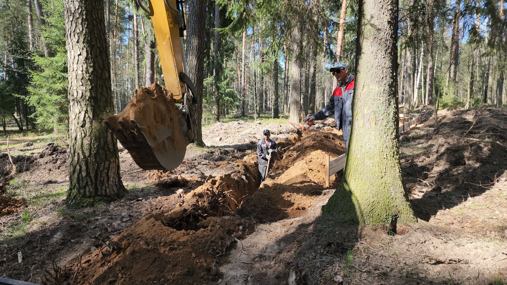 красноармейск, городской округ пушкинский, лесопарк, банный лес,