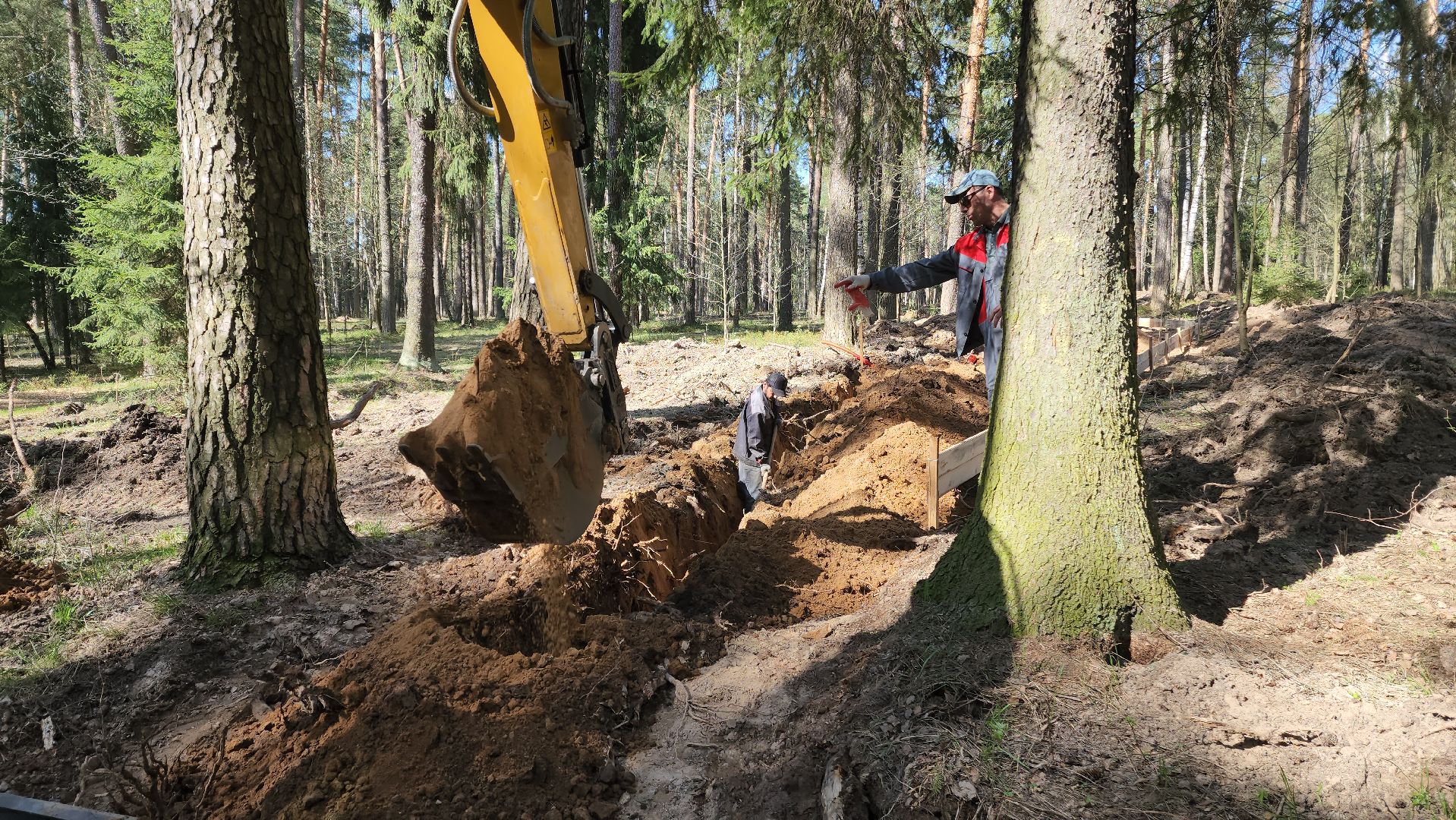 красноармейск, городской округ пушкинский, лесопарк, банный лес,