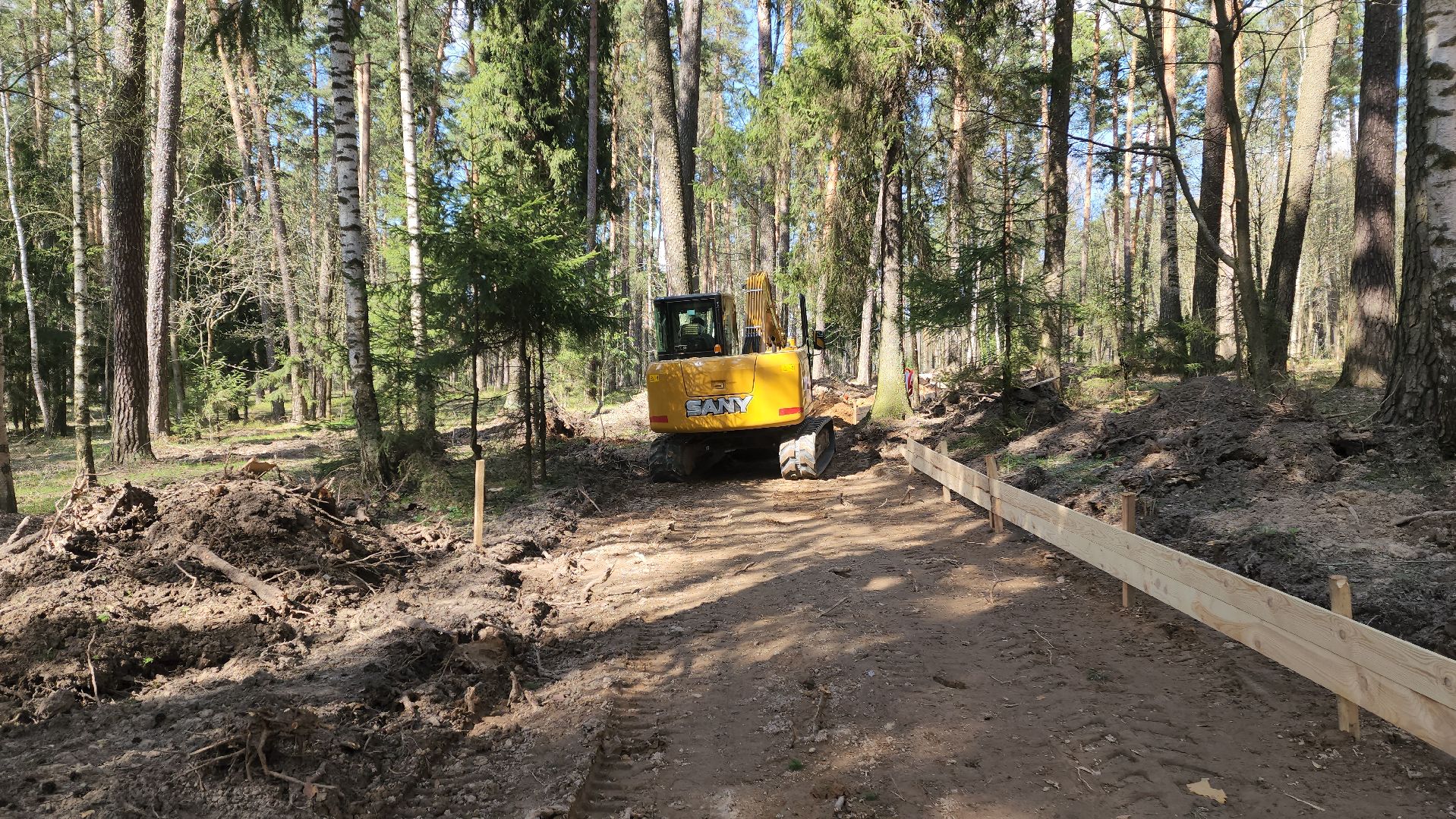 красноармейск, городской округ пушкинский, лесопарк, банный лес,