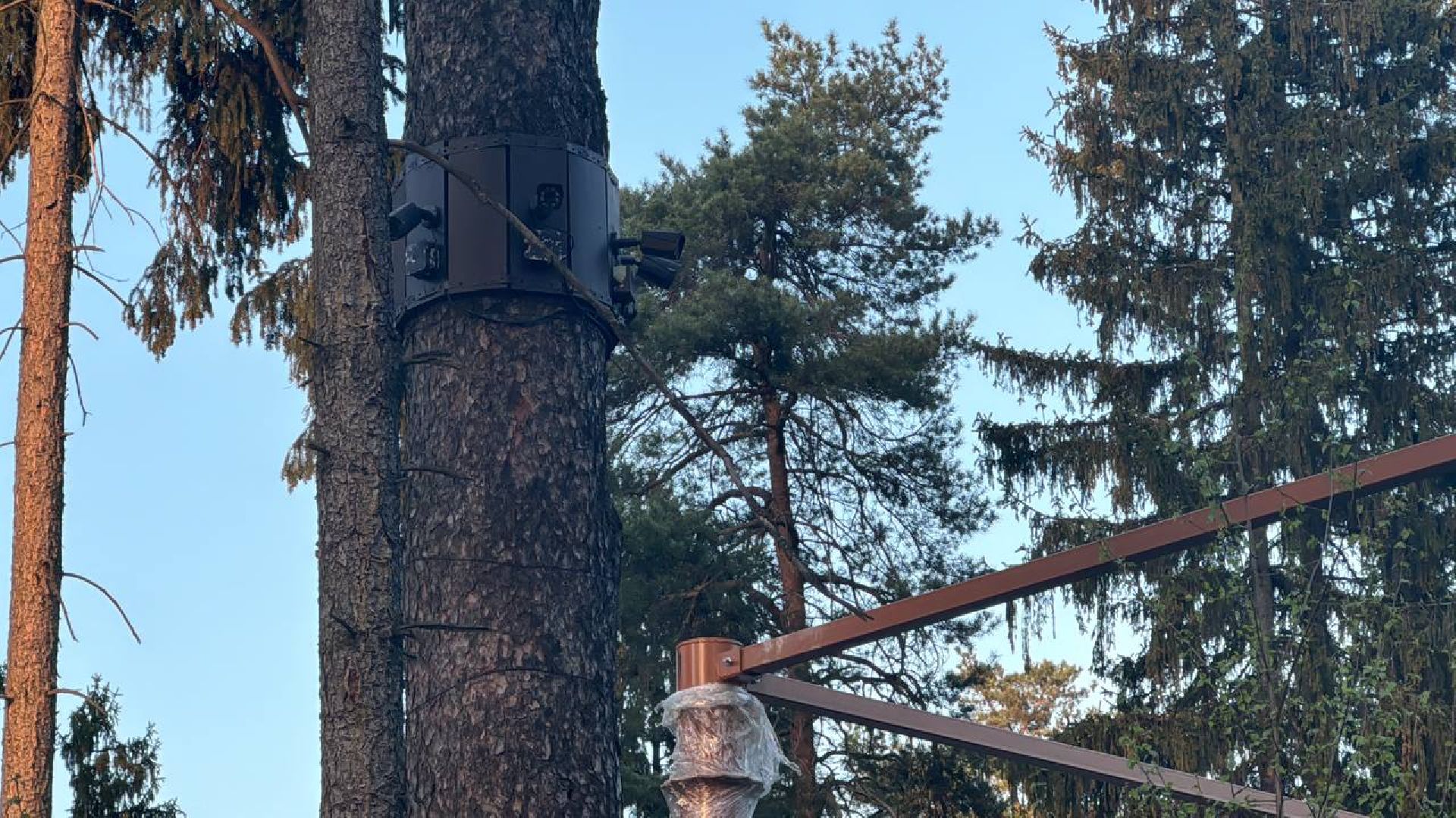 пестовский парк, обновление, аттракционы,