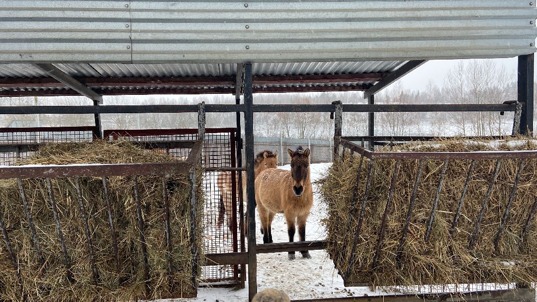 Волоколамск