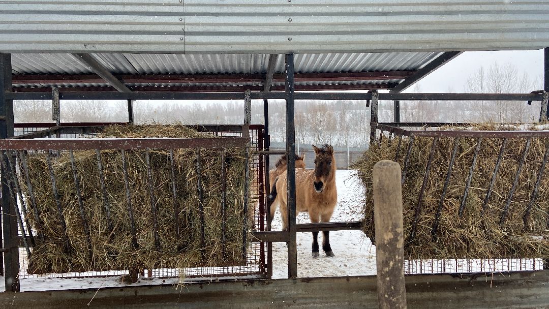 Волоколамск