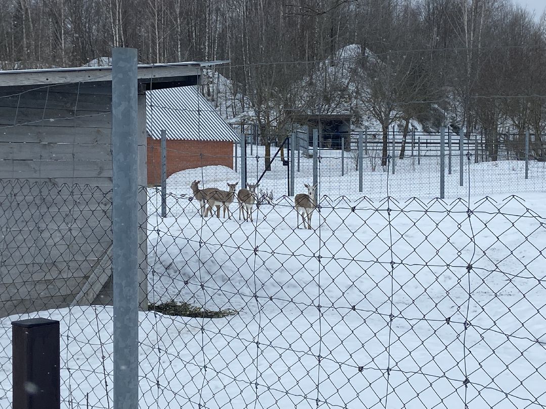 Волоколамск