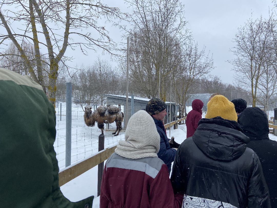 Волоколамск