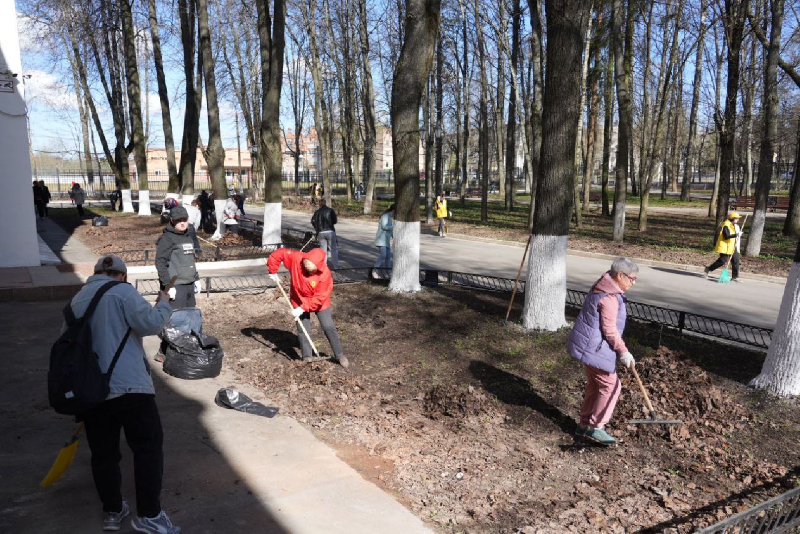 Сергиев Посад, Сергиево-Посадский городской округ, Субботник, Общество