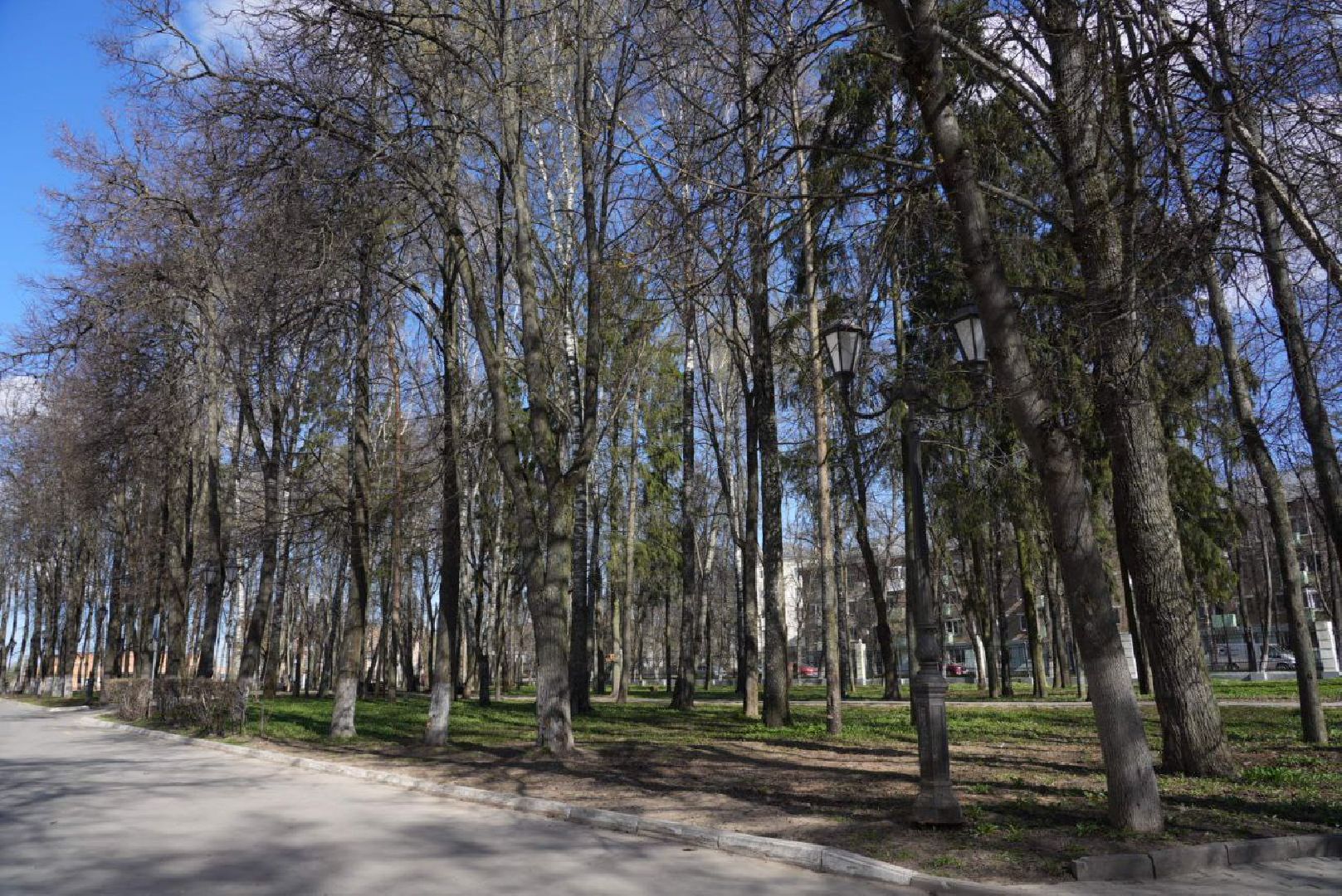 Сергиев Посад, Сергиево-Посадский городской округ, Субботник, Общество