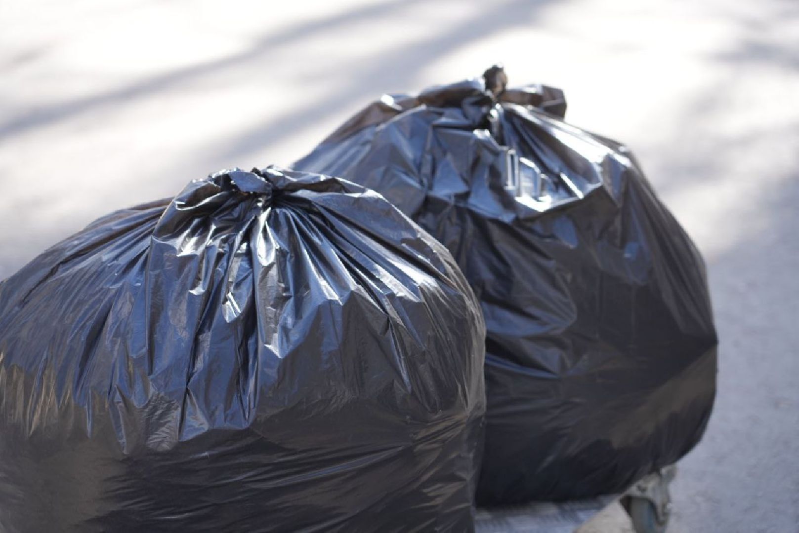 Сергиев Посад, Сергиево-Посадский городской округ, Субботник, Общество