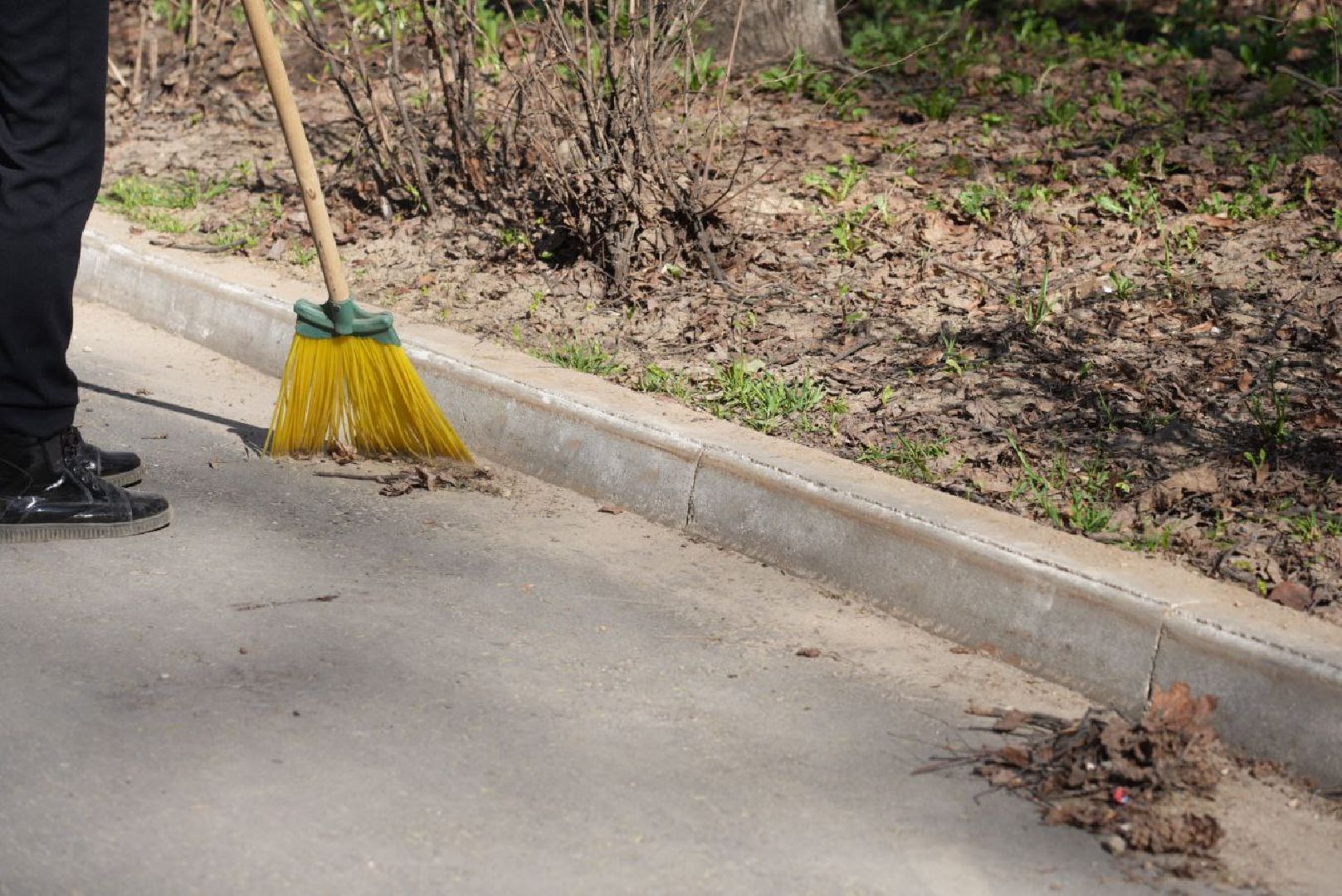 Сергиев Посад, Сергиево-Посадский городской округ, Субботник, Общество