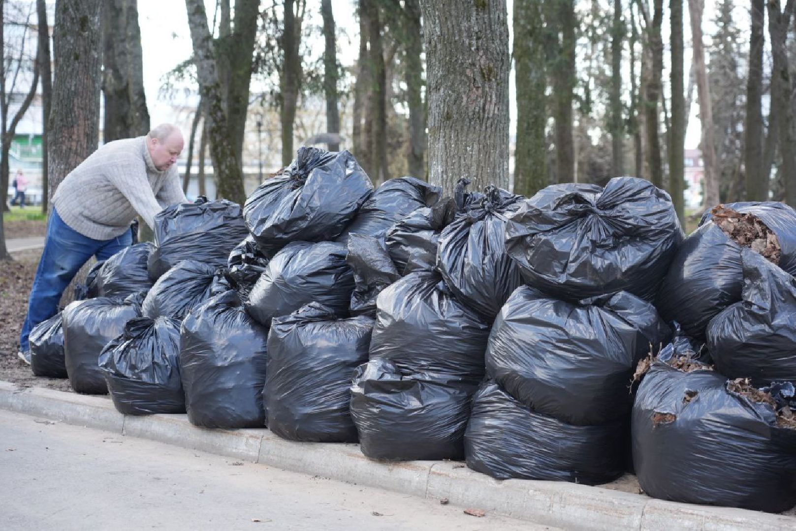 Сергиев Посад, Сергиево-Посадский городской округ, Субботник, Общество