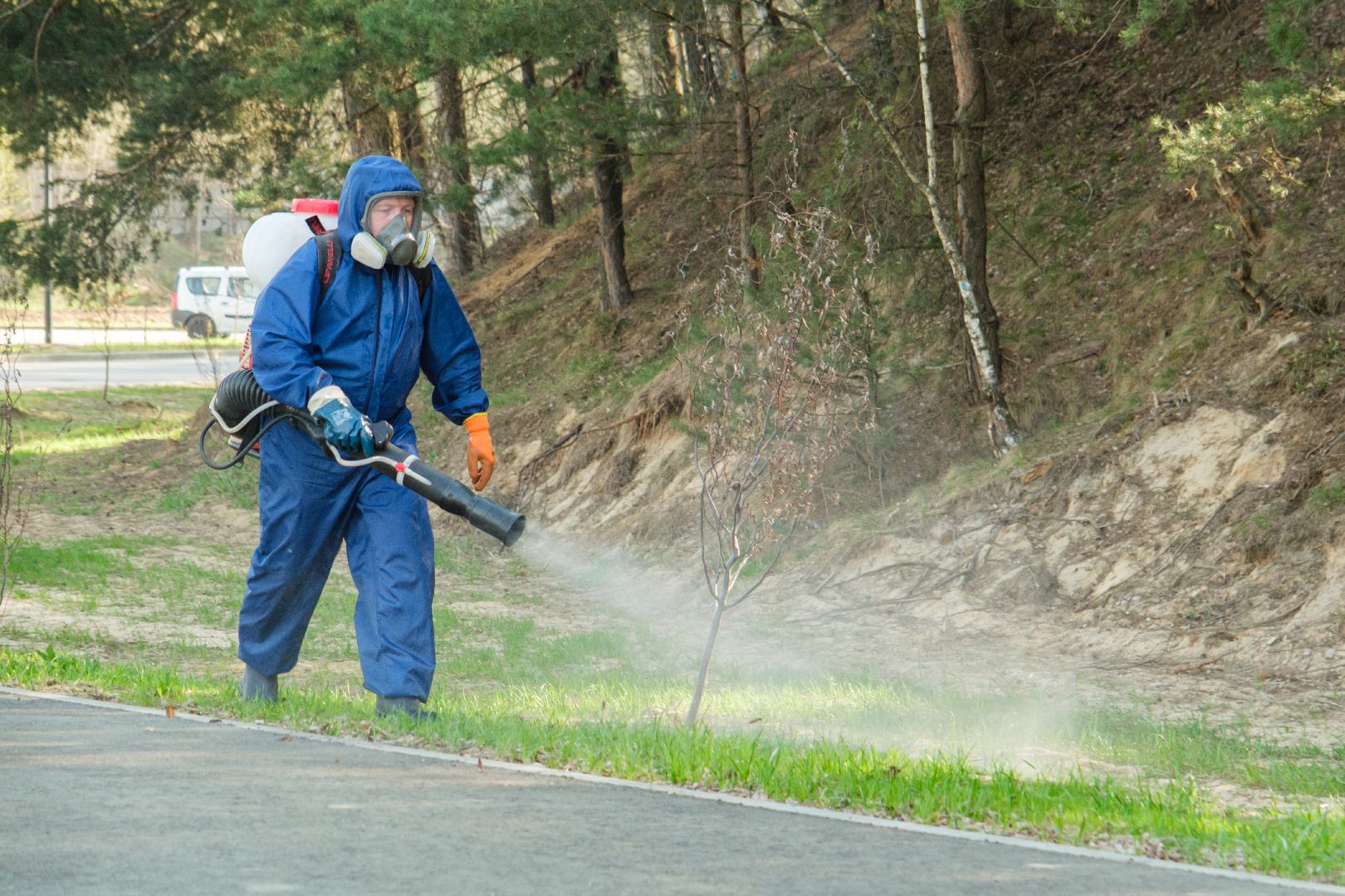 лыткарино, лесопарк волкуша, акарицидная обработка, обработка против клещей, благоустройство, парки,