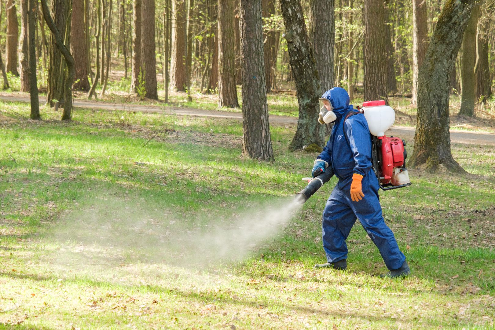 лыткарино, лесопарк волкуша, акарицидная обработка, обработка против клещей, благоустройство, парки,