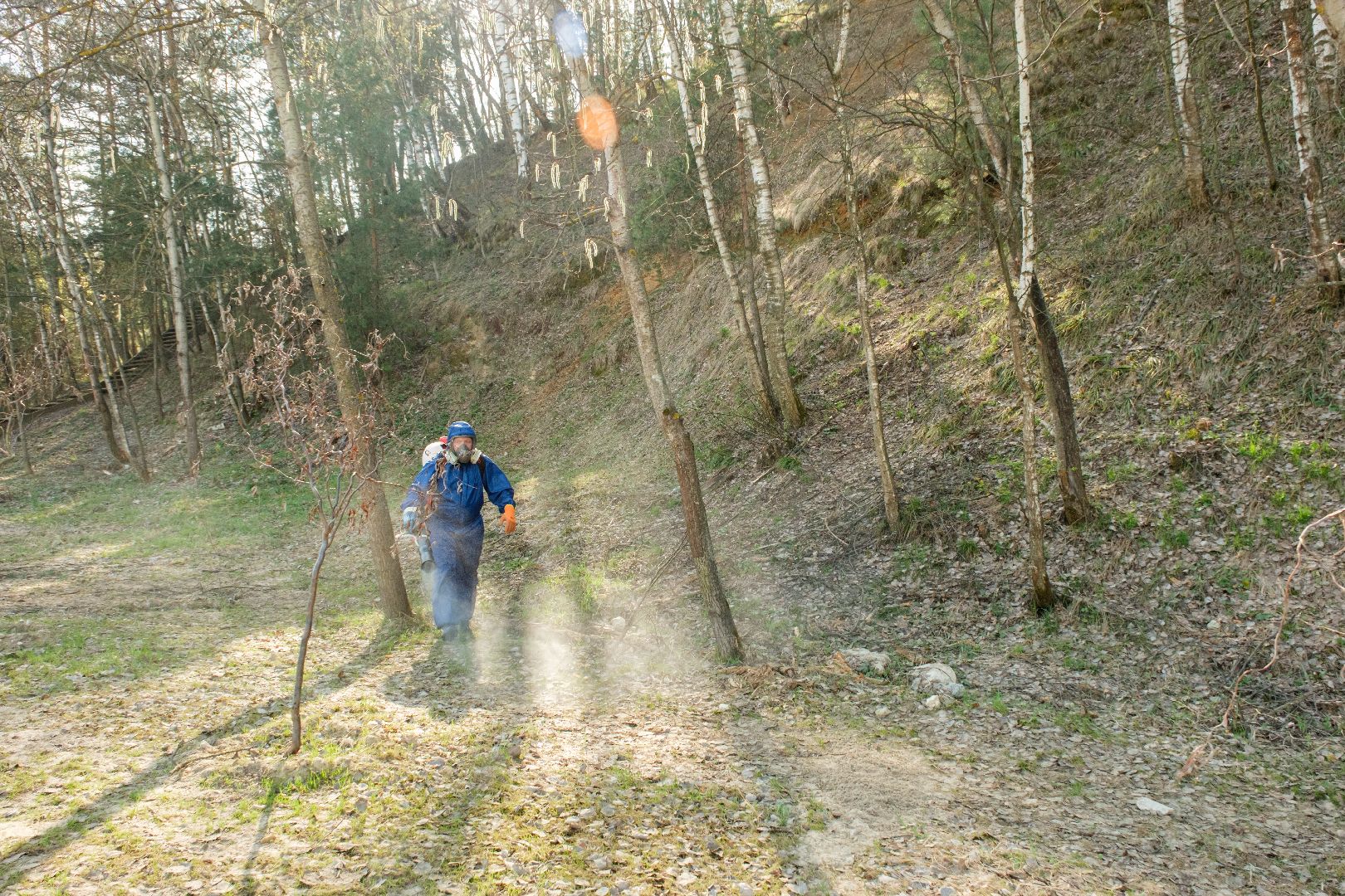 лыткарино, лесопарк волкуша, акарицидная обработка, обработка против клещей, благоустройство, парки,