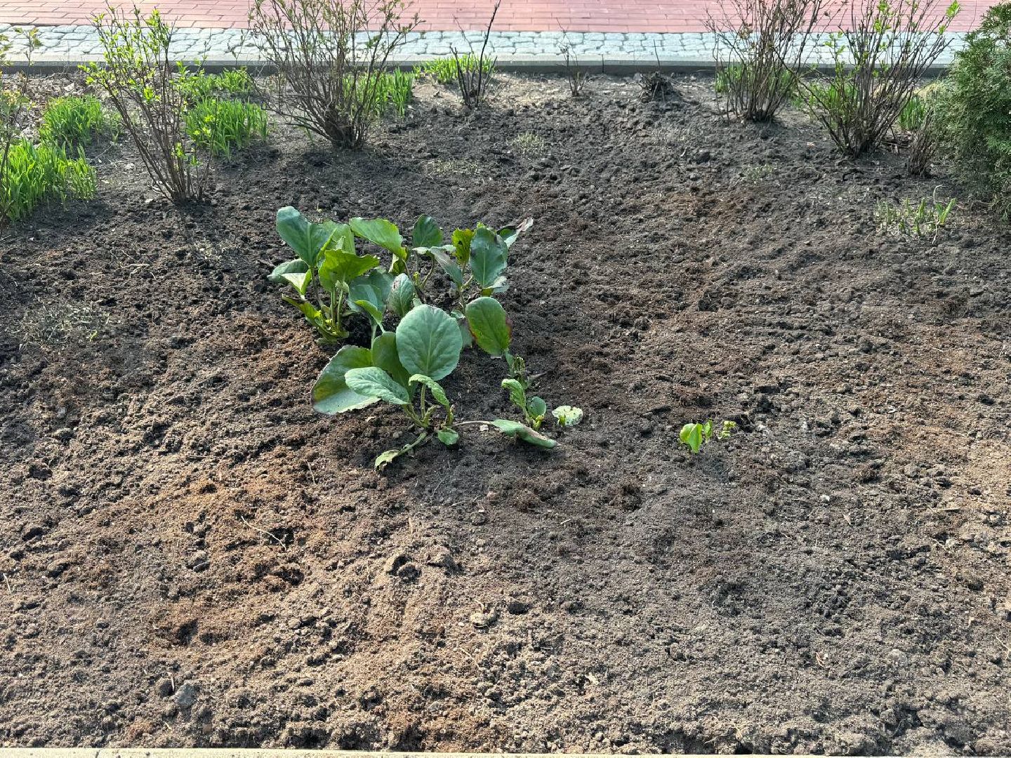 благоустройство, покраска лавочек, аллея героев,