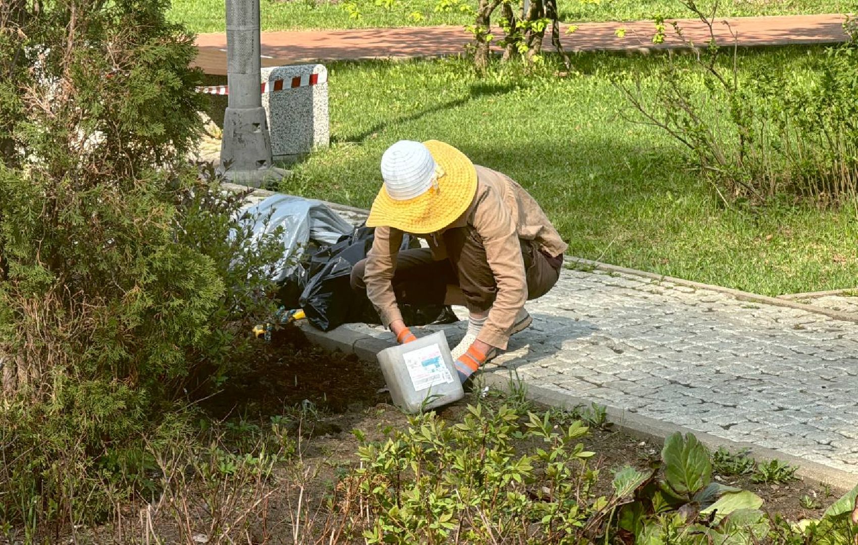 благоустройство, покраска лавочек, аллея героев,