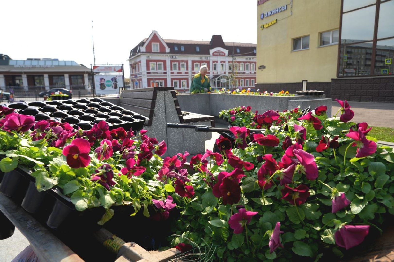 благоустройство , сергиев посад, сергиево-посадский городской округ, украшение , весна,