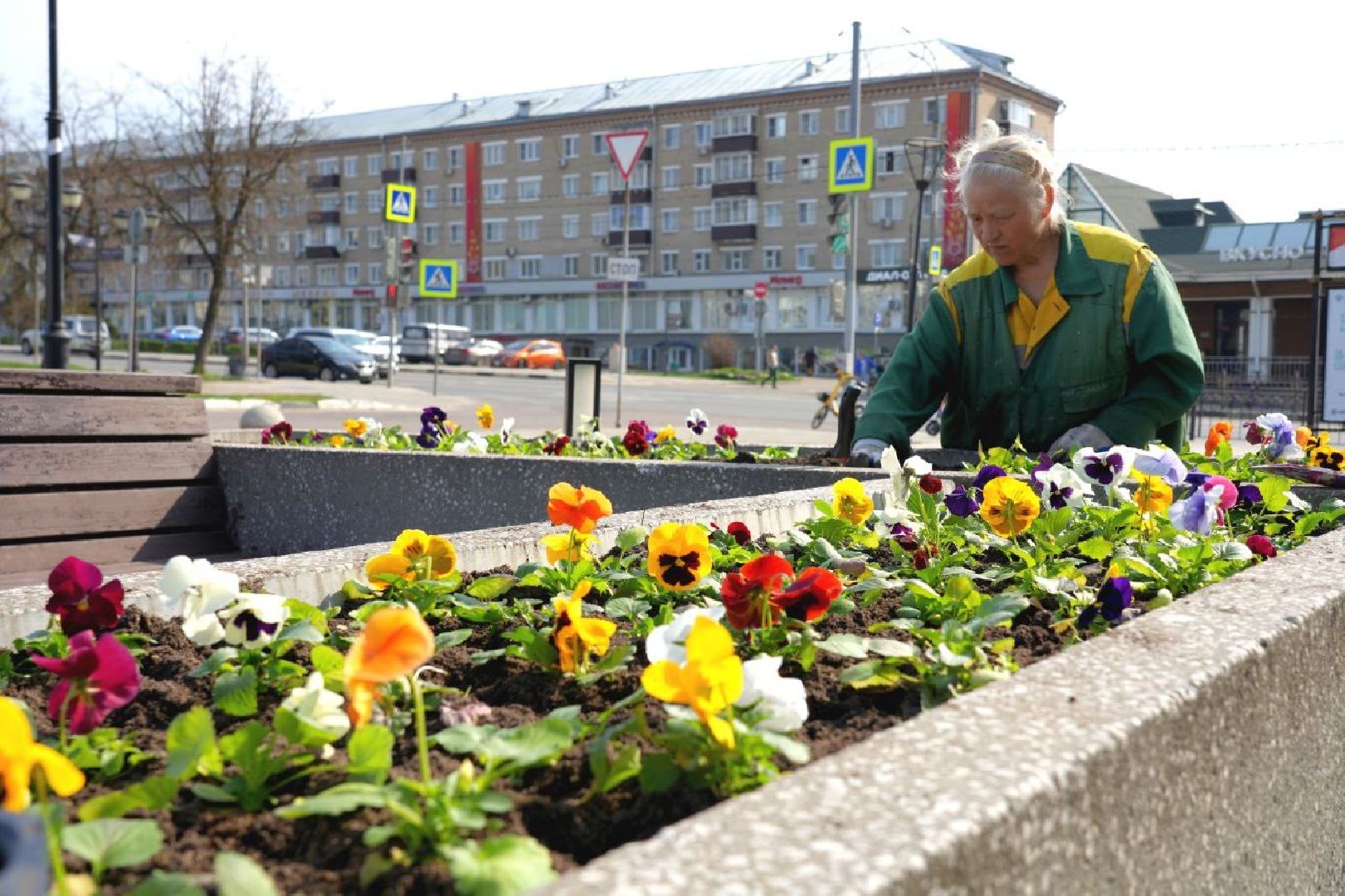 благоустройство , сергиев посад, сергиево-посадский городской округ, украшение , весна,