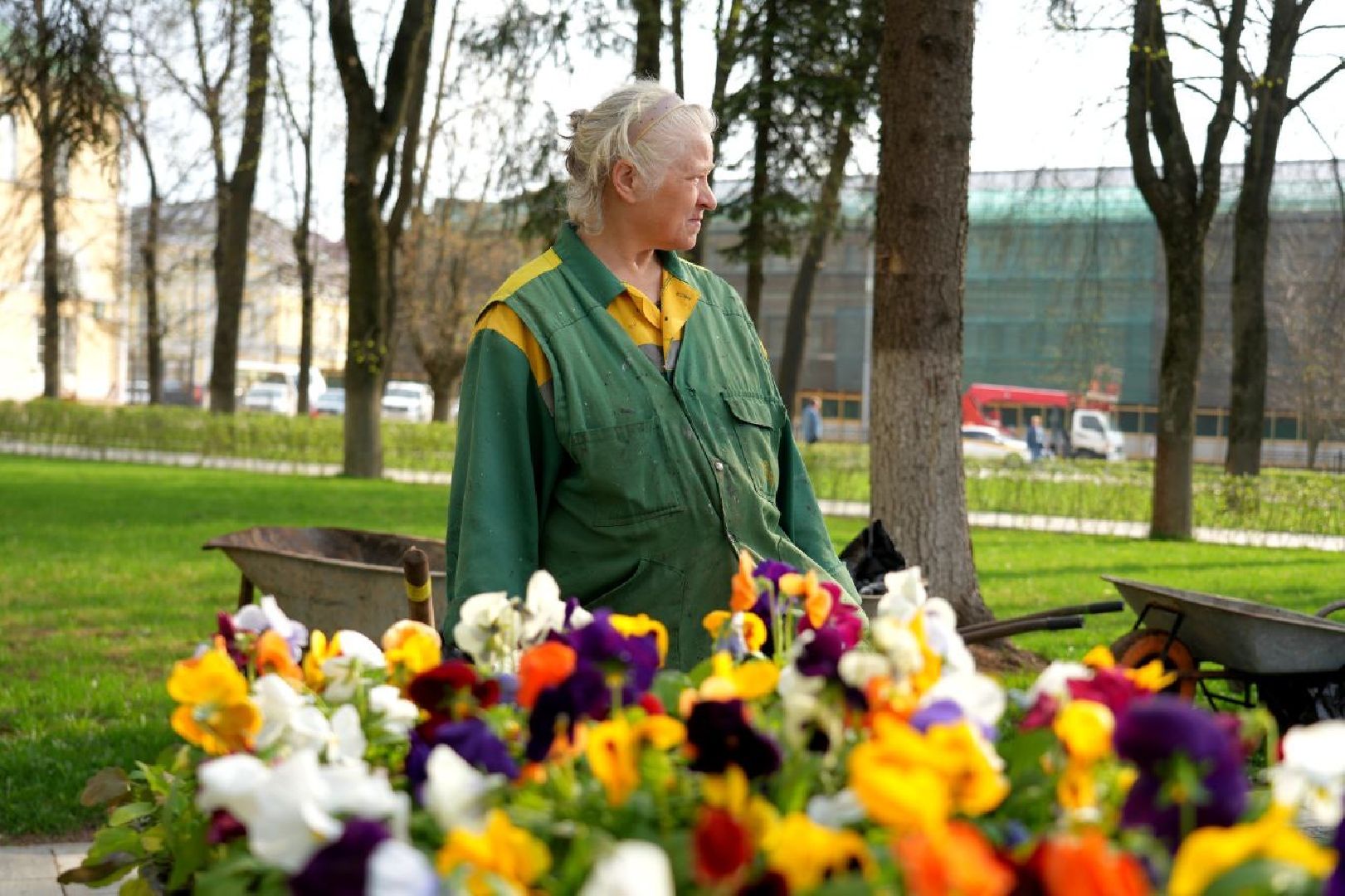 благоустройство , сергиев посад, сергиево-посадский городской округ, украшение , весна,