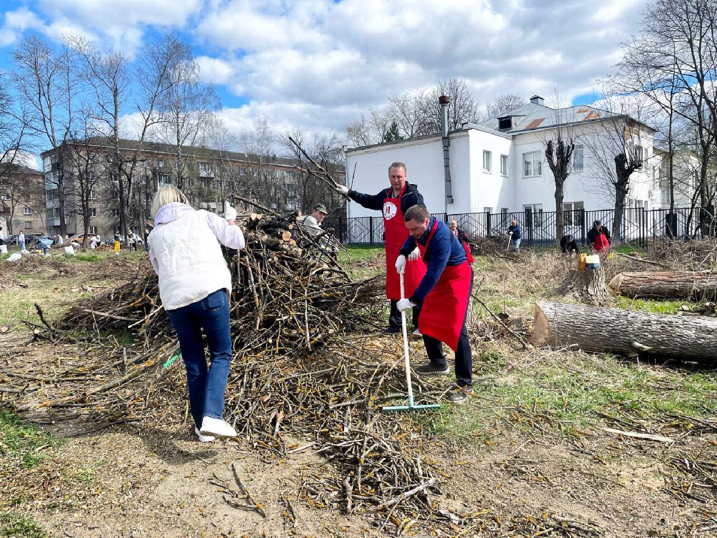 Сергиево-Посадский городской округ, Сергиев Посад, Субботник, Уборка, Общество