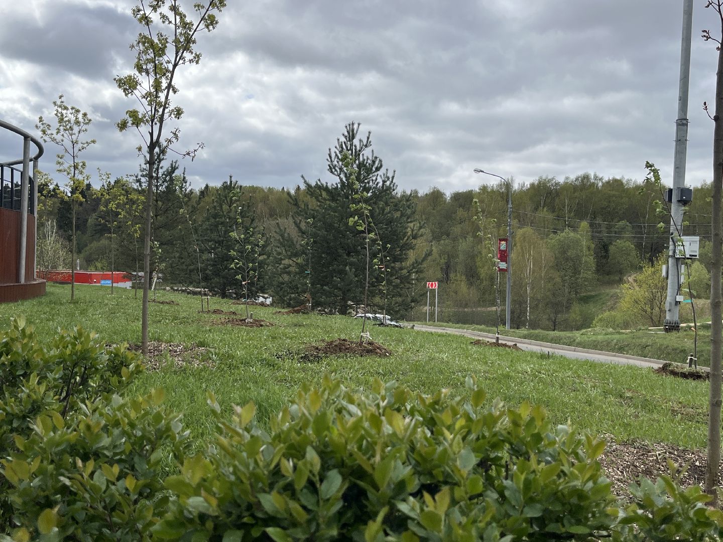 всероссийский субботник, наро-фоминск, наро-фоминский городской округ, сад памяти, сибирское здоровье , роман шамнэ,