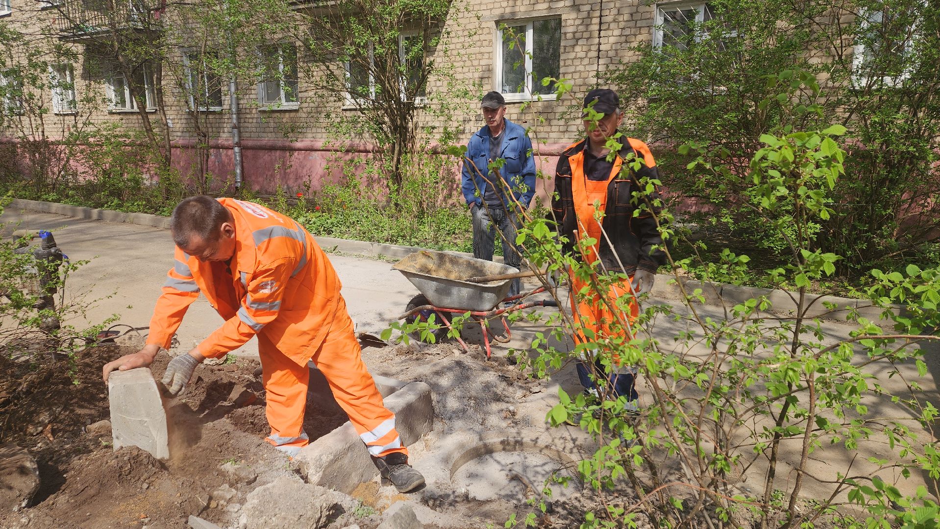 пушкино, газон, ремонтные работы,бордюрный камень, рабочие, подрядная организация,