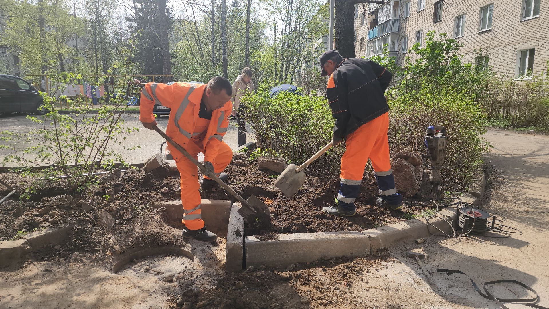 пушкино, газон, ремонтные работы,бордюрный камень, рабочие, подрядная организация,