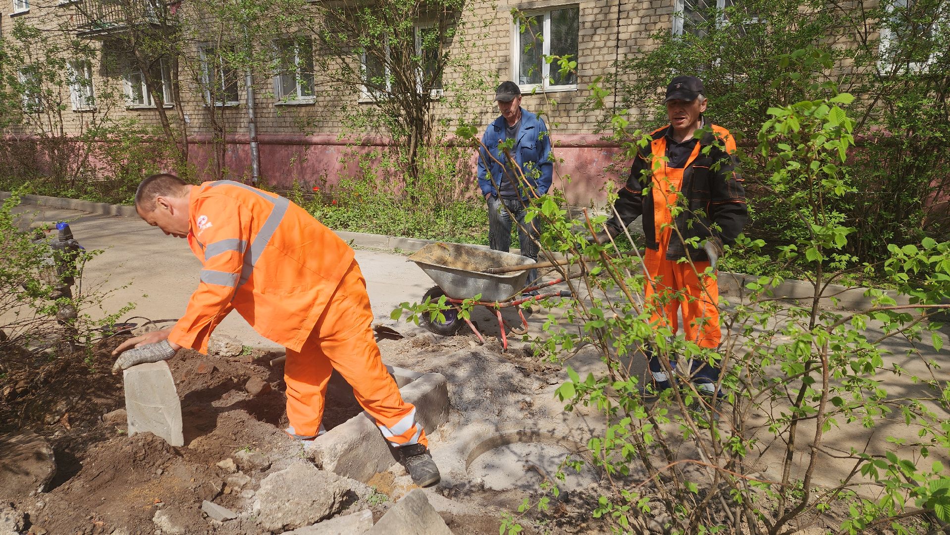 пушкино, газон, ремонтные работы,бордюрный камень, рабочие, подрядная организация,