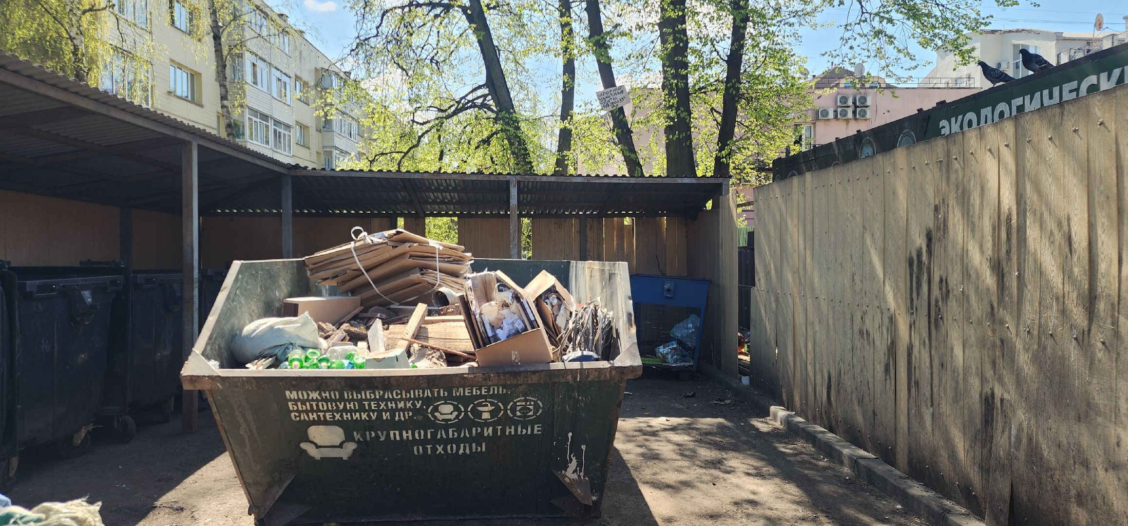 ЖКХ, Контейнерные площадки, Крупногабаритный мусор, экология,