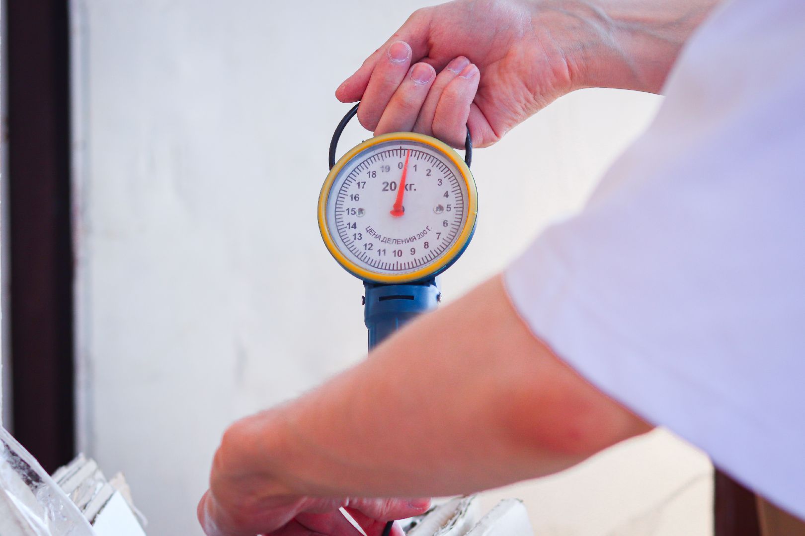 клин, общество, макулатура, волонтеры подмосковья, экология,