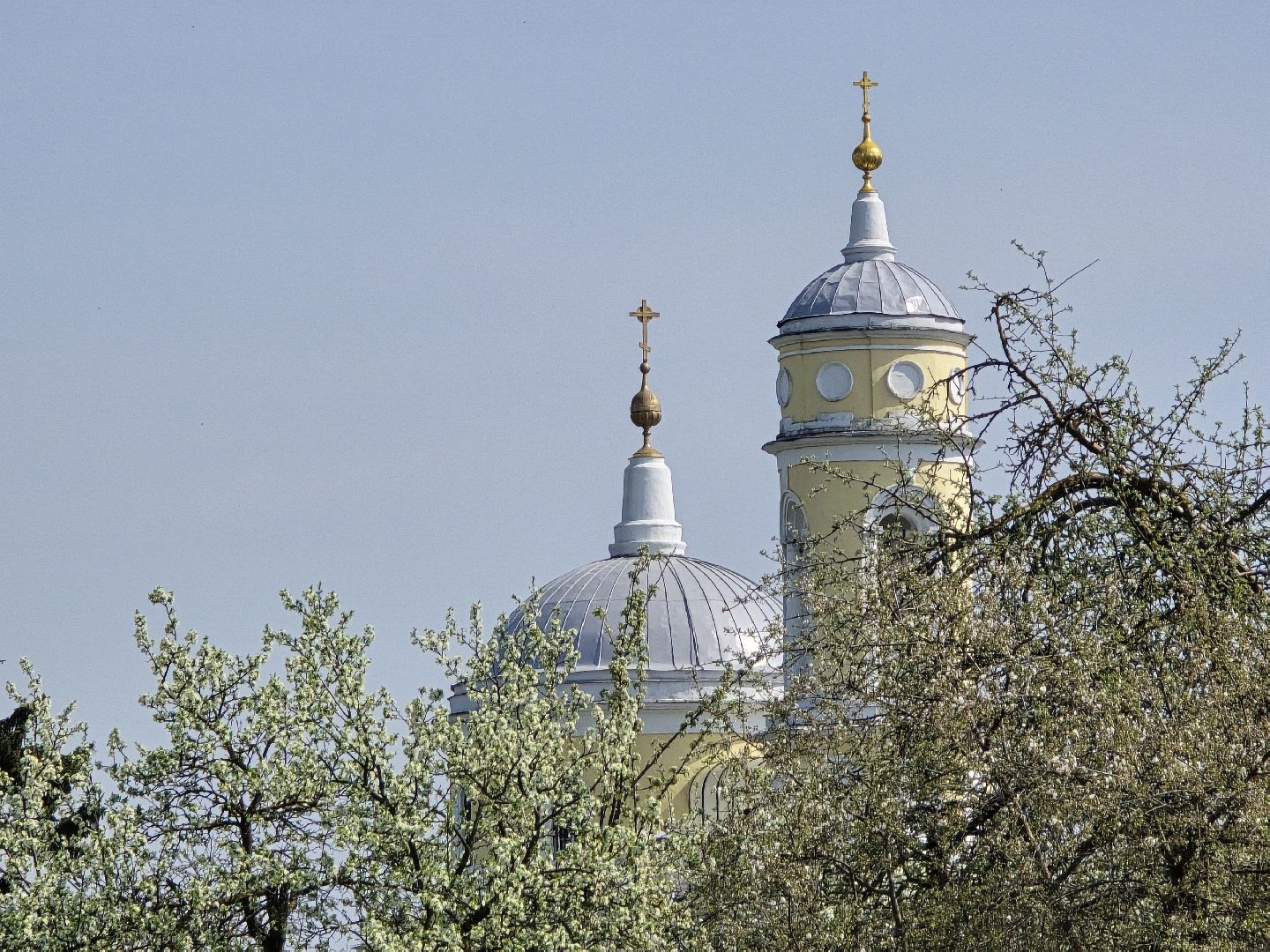 Коломна, цветение растений, майские праздники,