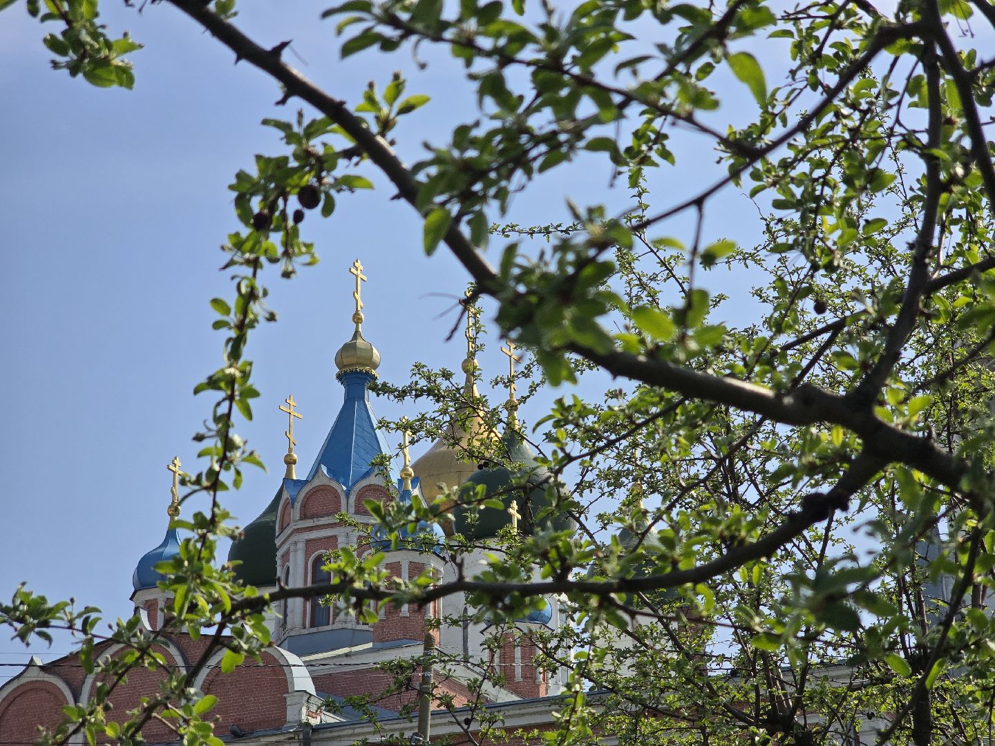 Коломна, цветение растений, майские праздники,