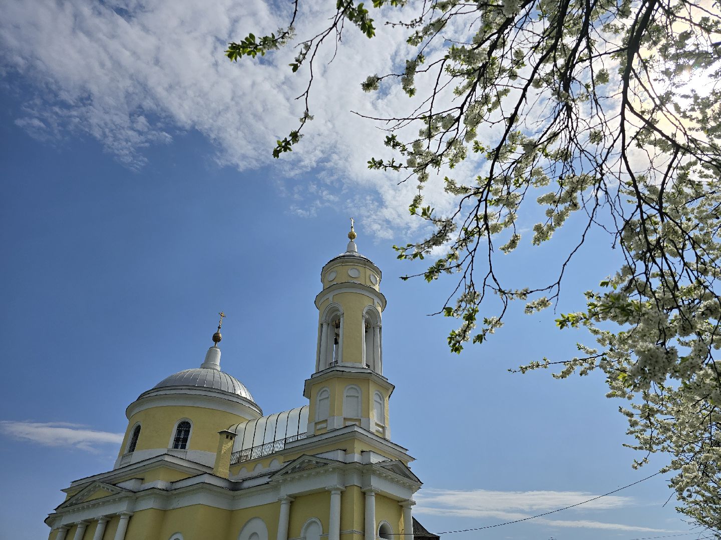 Коломна, цветение растений, майские праздники,
