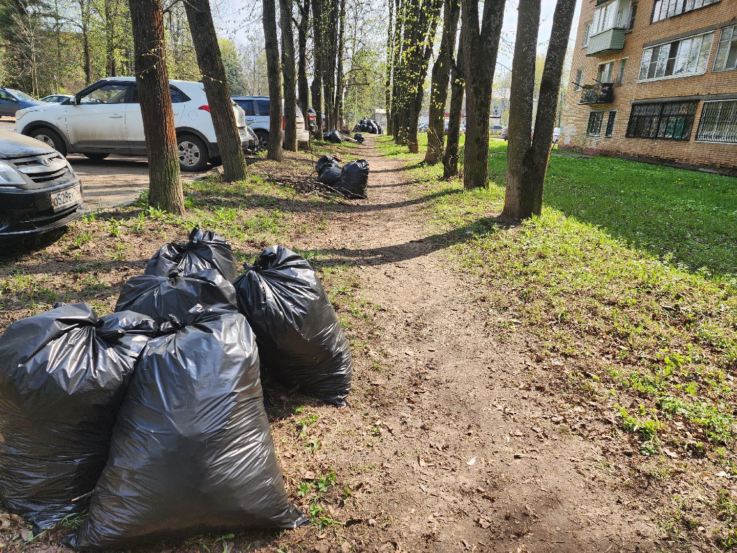 красноармейск, городской округ пушкинский, субботник, месячник благосутройства,