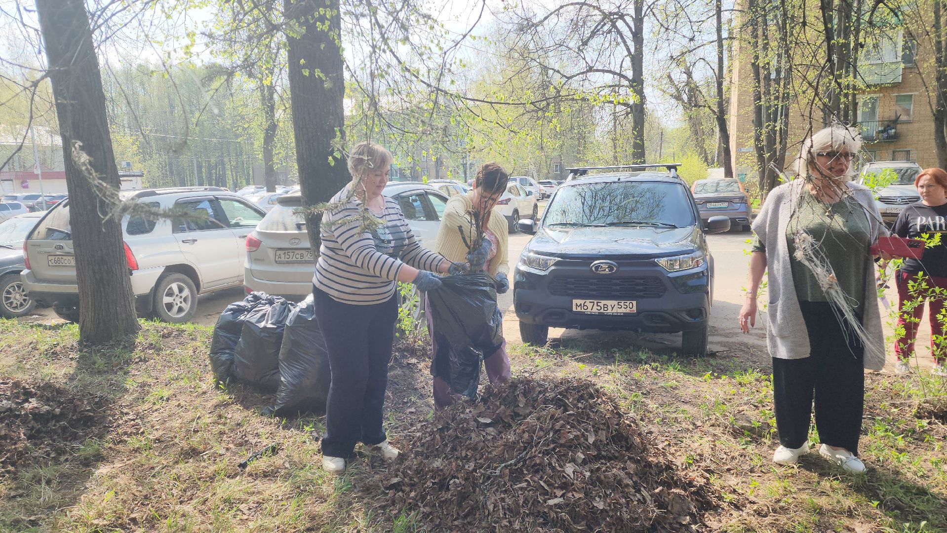 красноармейск, городской округ пушкинский, субботник, месячник благосутройства,