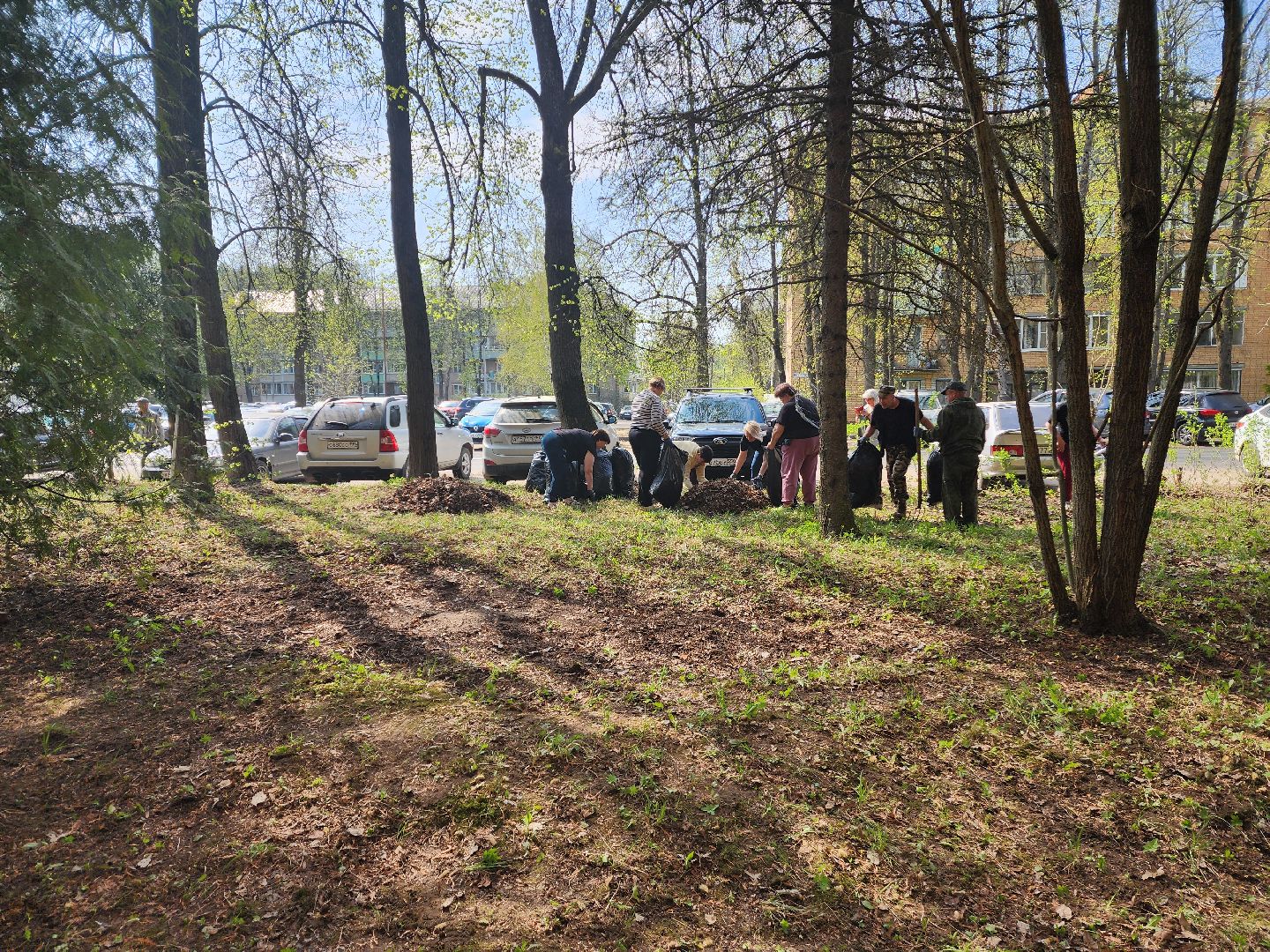 красноармейск, городской округ пушкинский, субботник, месячник благосутройства,