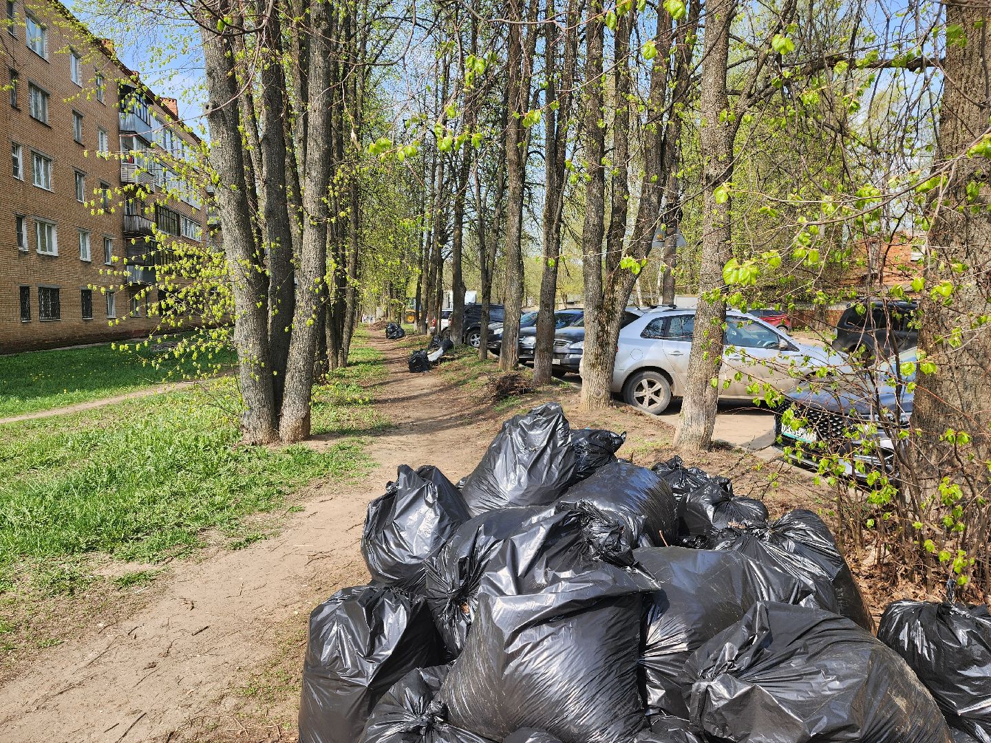 красноармейск, городской округ пушкинский, субботник, месячник благосутройства,