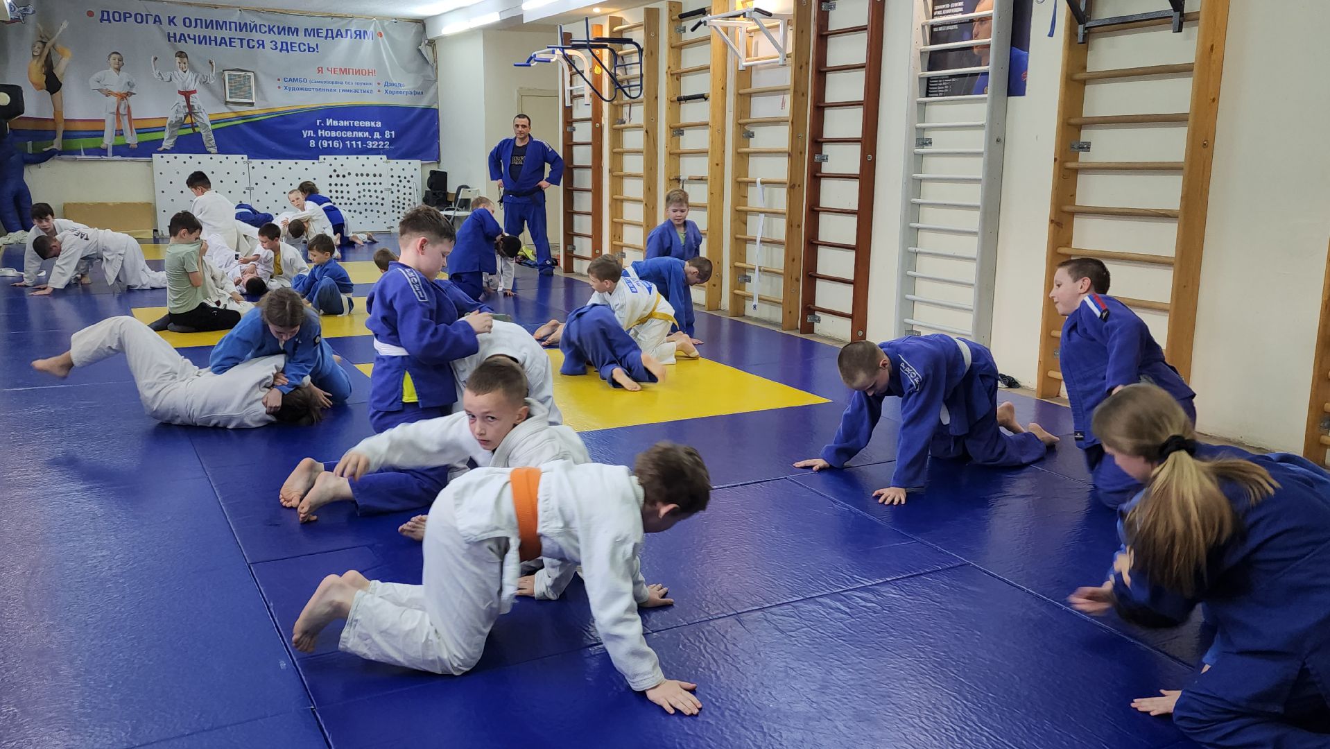 ивантеевка, тренер, дзюдо, дзюдоистка, спорт детям,советы,спортивная борьба,