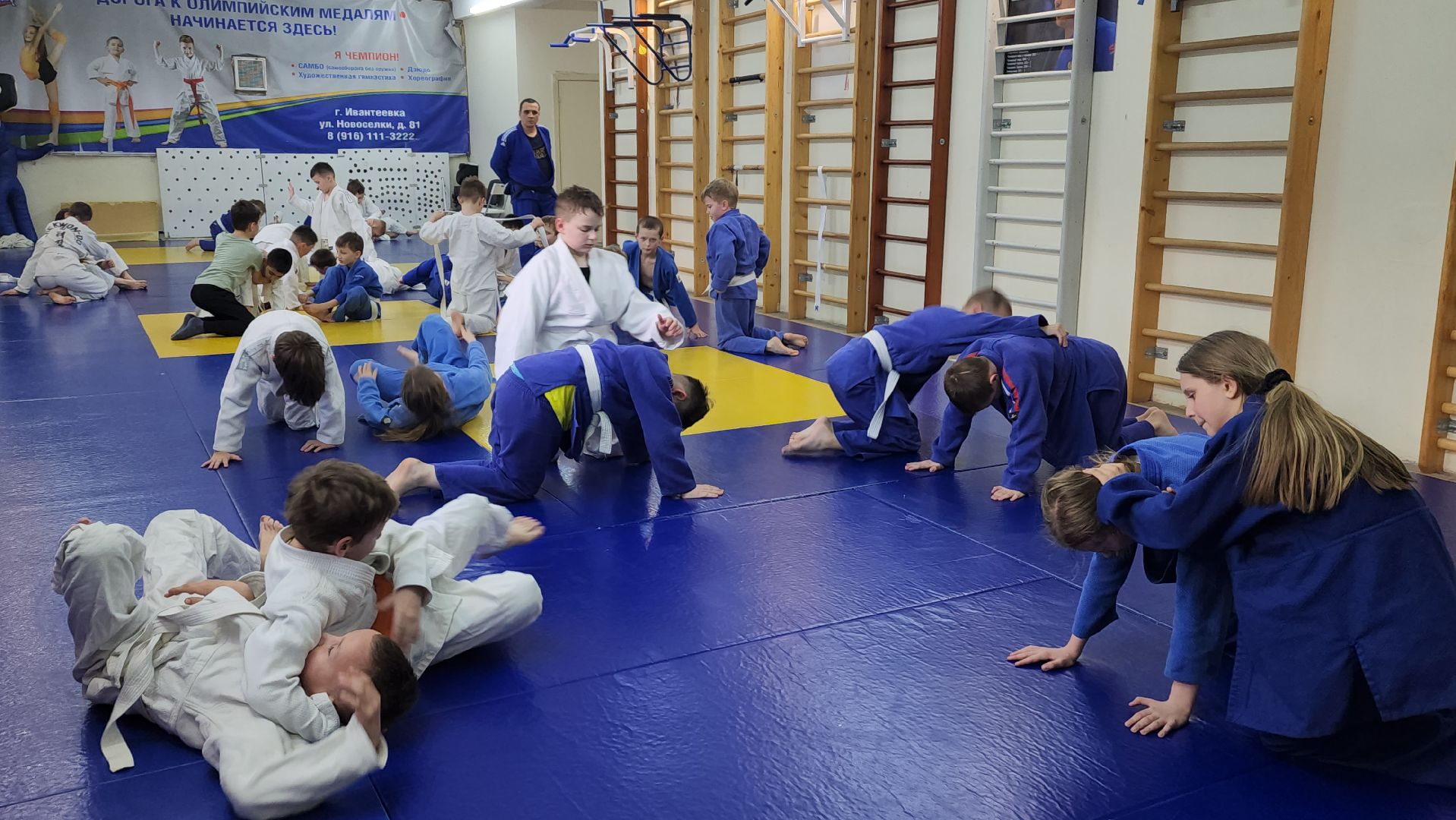 ивантеевка, тренер, дзюдо, дзюдоистка, спорт детям,советы,спортивная борьба,