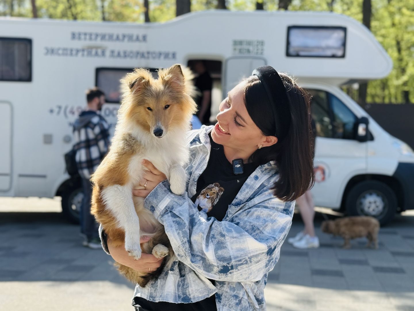 раменское, ветеринар, вакцинация животных, бешенство, чипирование, регистрация животных,