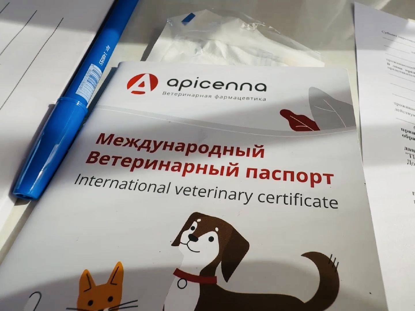 раменское, ветеринар, вакцинация животных, бешенство, чипирование, регистрация животных,