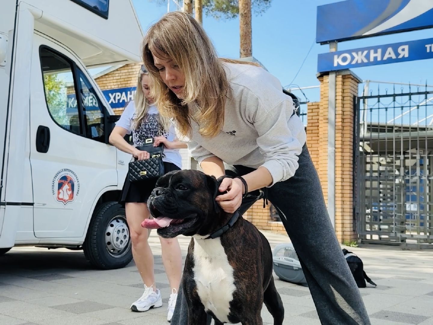 раменское, ветеринар, вакцинация животных, бешенство, чипирование, регистрация животных,