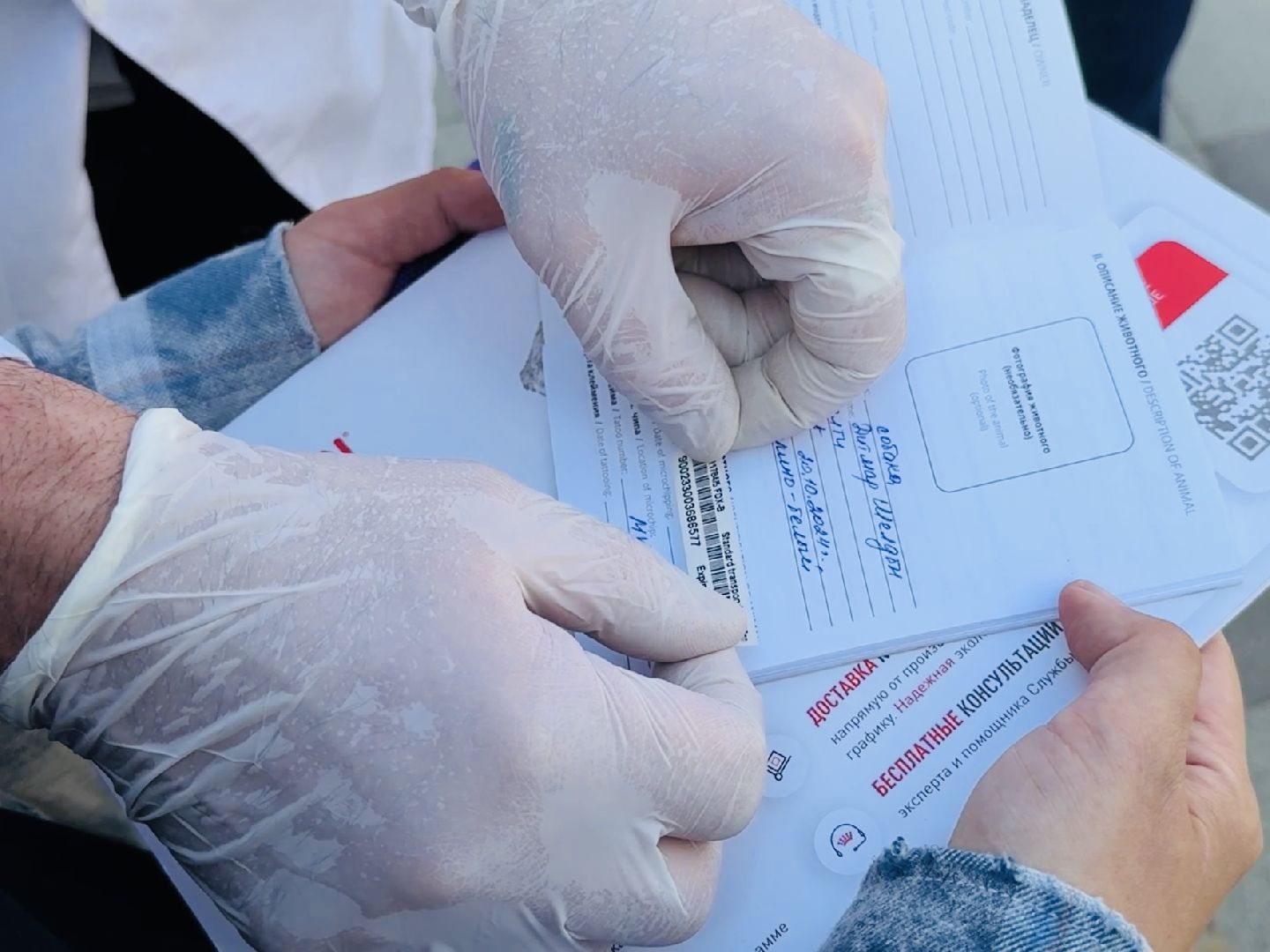 раменское, ветеринар, вакцинация животных, бешенство, чипирование, регистрация животных,