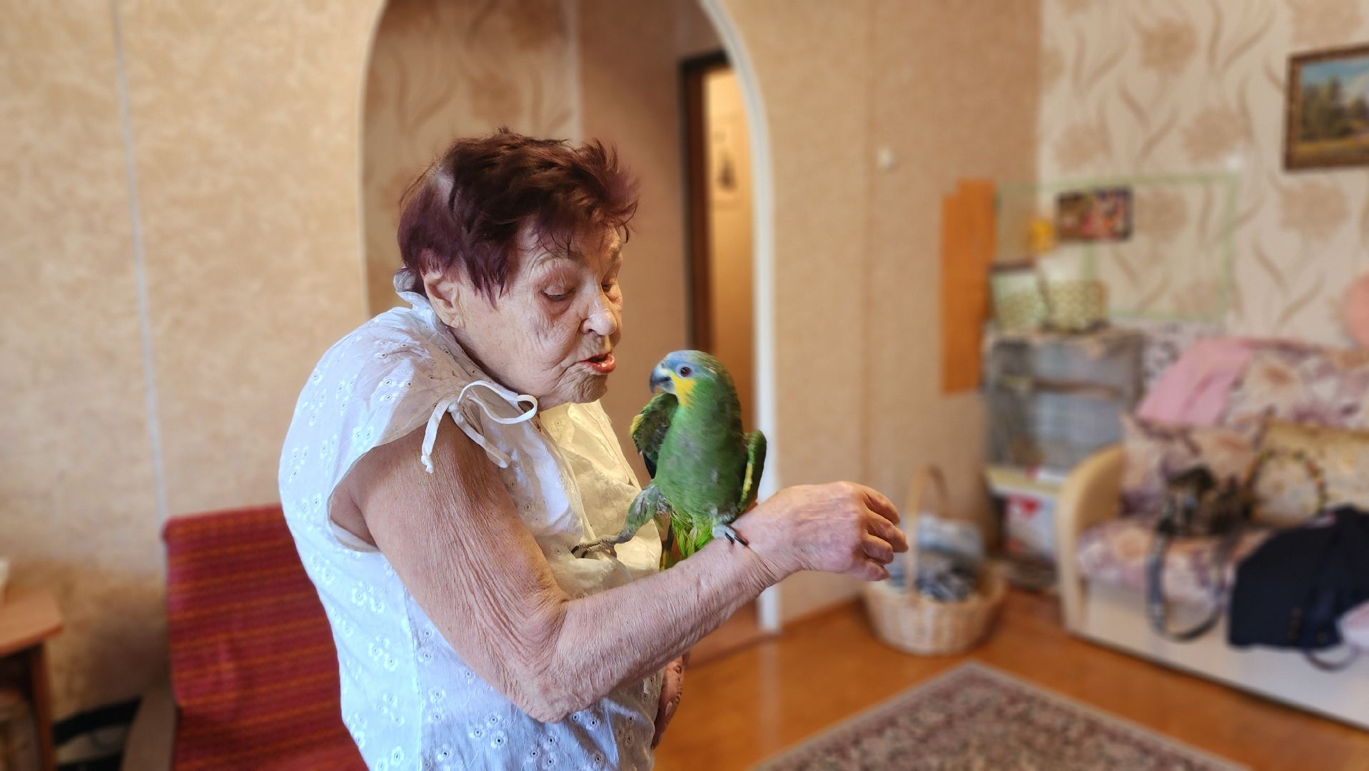 солнечногорск, алабушево, ветеран вов, герои среди нас,