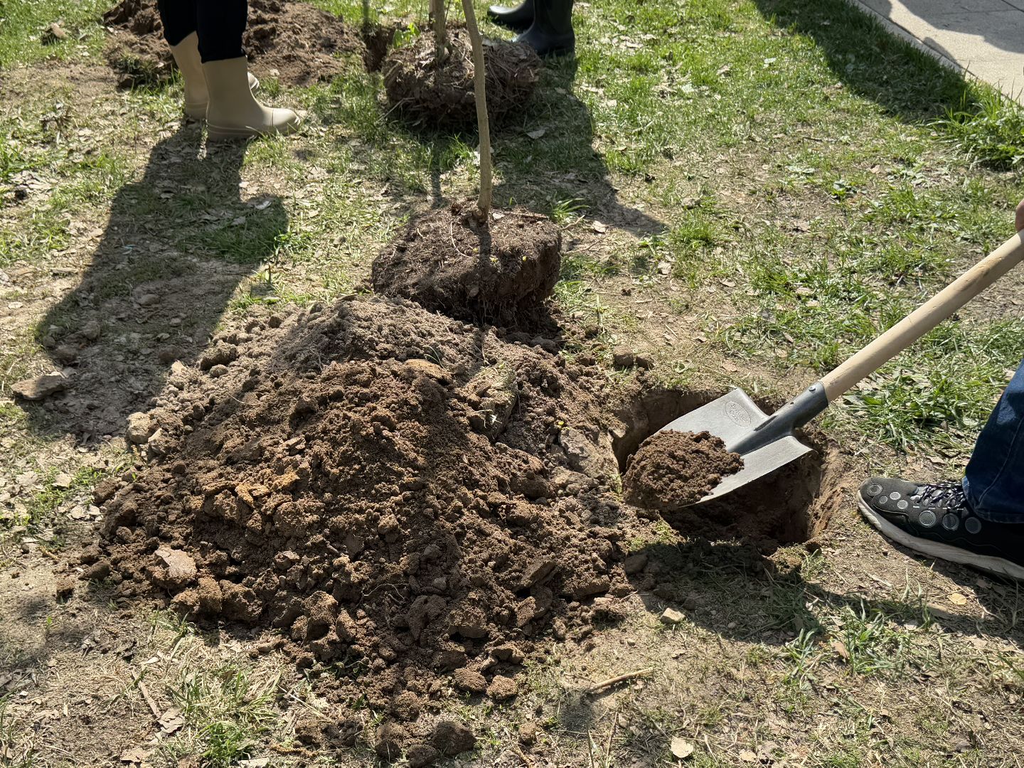 80 лет победы, субботник, балашиха,