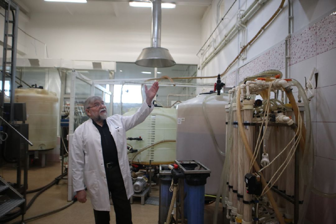 наука, ветеринария, птицеводство, Пущино