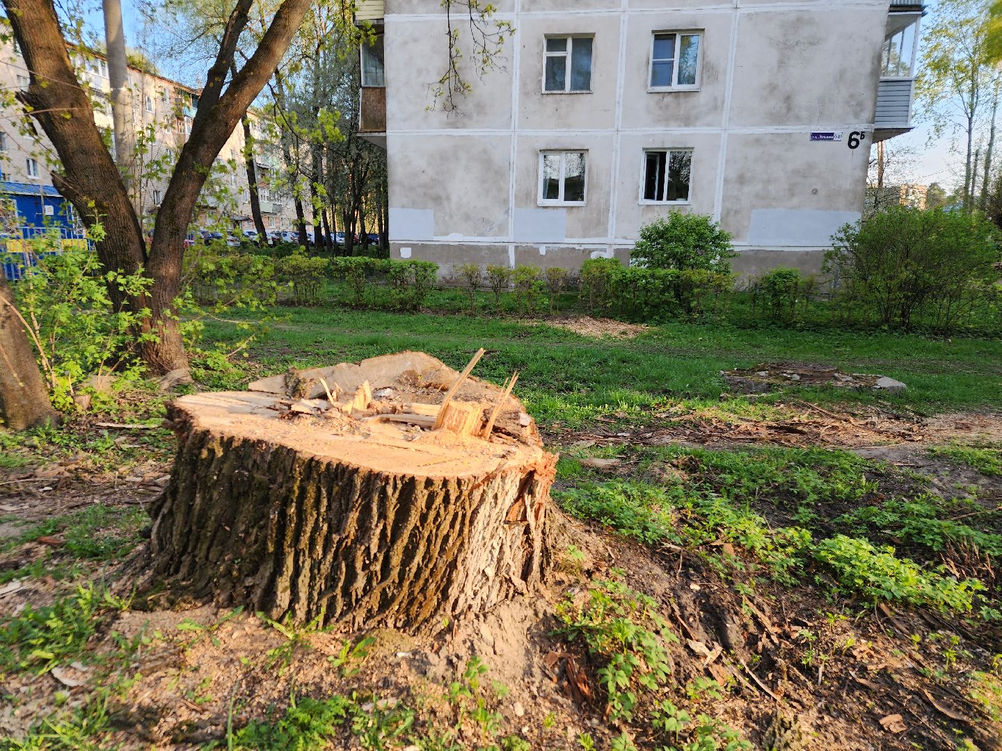 выездная администрация, ликино-дулево, орехово-зуевский округ,