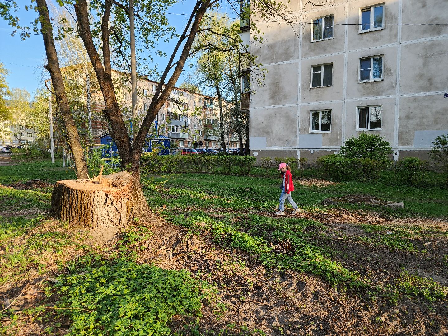 выездная администрация, ликино-дулево, орехово-зуевский округ,