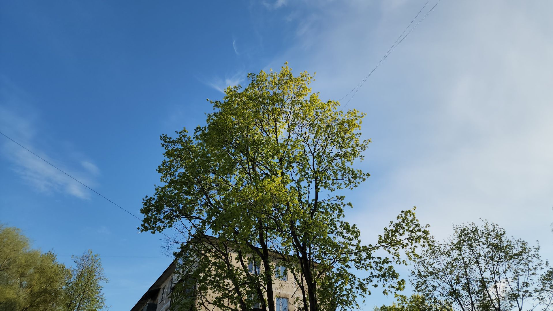 выездная администрация, ликино-дулево, орехово-зуевский округ,