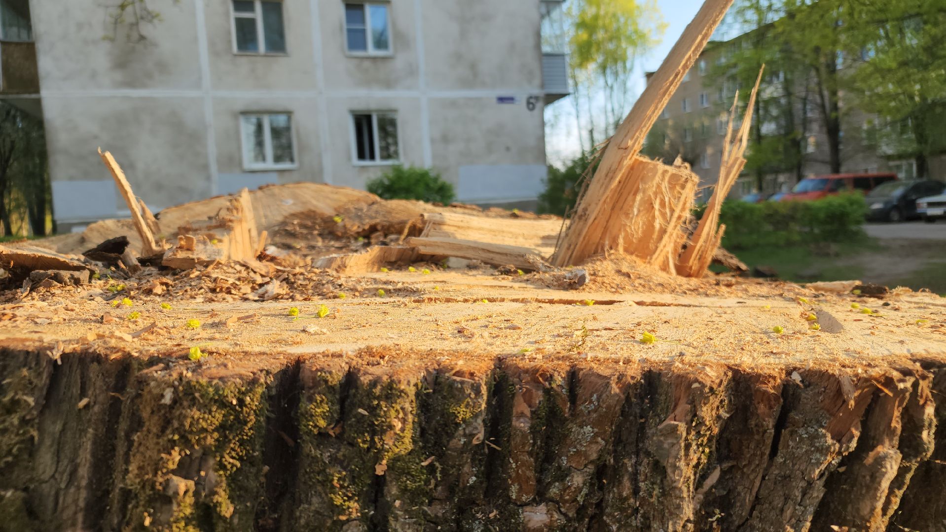 выездная администрация, ликино-дулево, орехово-зуевский округ,